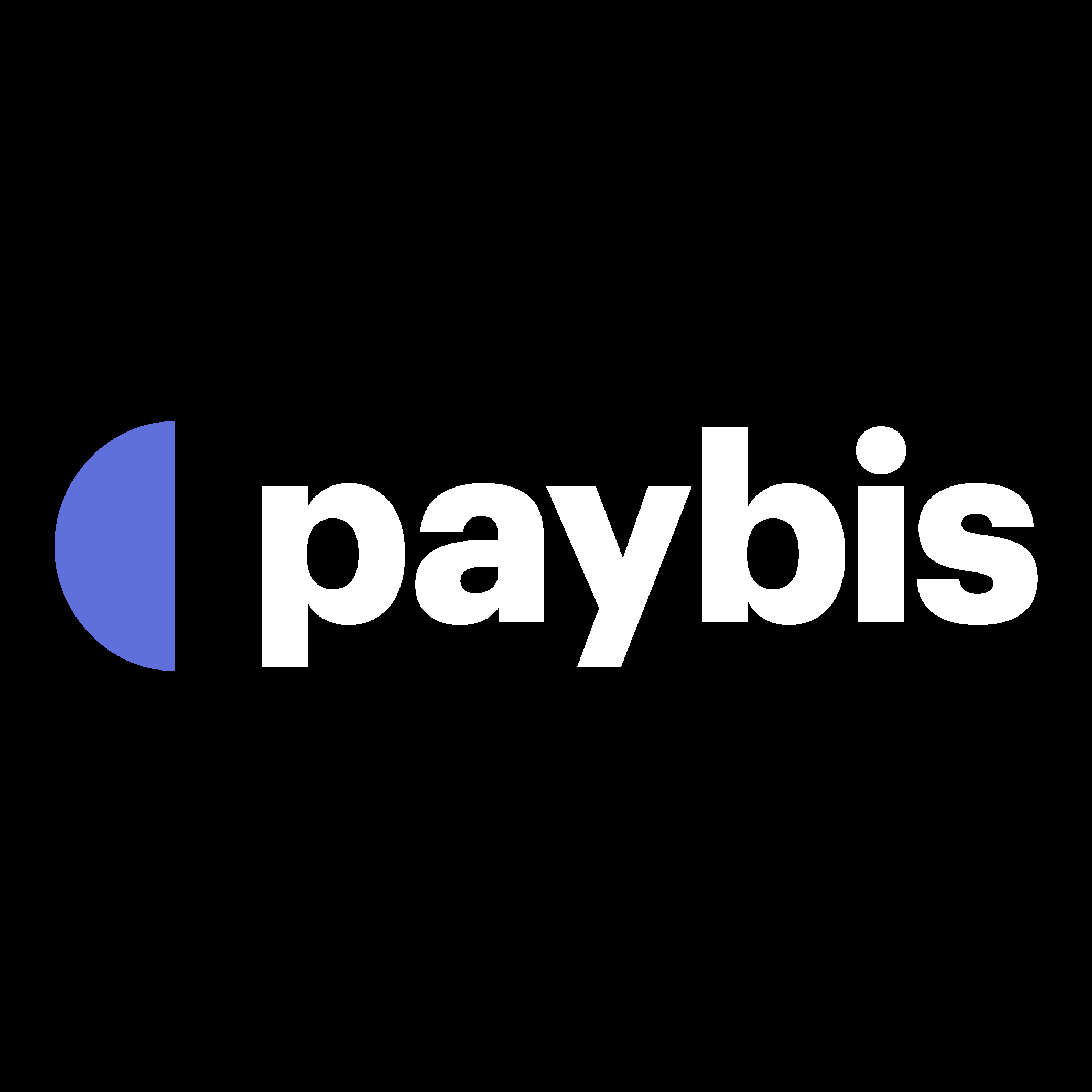 Paybis White Logo Vector Logo